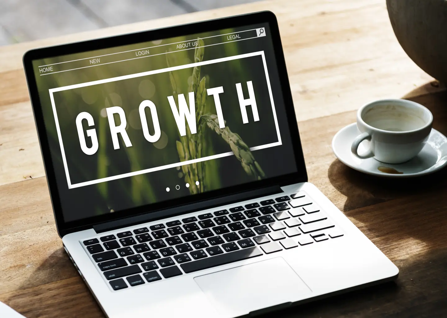 penrith web - web development - grow your business to success